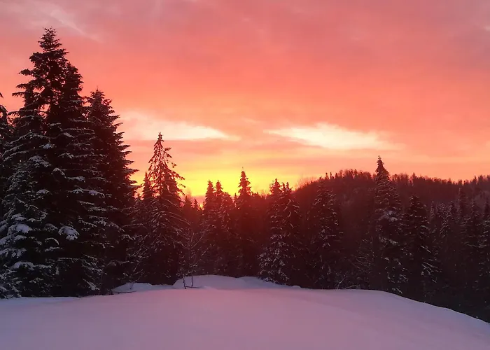 Na Przeleczy Tatil Evi